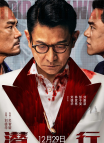 一区福利视频